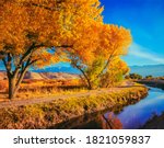 Autumn Fremont Cottonwoods line a water canal in the Owen