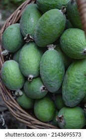 Autumn Fruit, Basket Of Feijoa, Pineapple Guava 