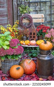 Autumn Garden Arrangement With Red Chrysanthemum, Rust Lantern And Pumpkins