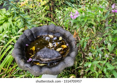 Autumn Garden. Bird Bath With Fallen Leaves In An Autumn Garden With Phlox And Hostas. 