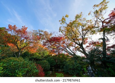 Autumn Garden Scenery Of Ohara Jikkoin