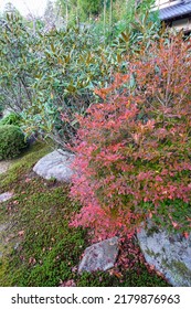 Autumn Garden Scenery Of Ohara Jikkoin