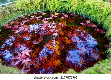 Autumn Garden Scenery Of Ohara Jikkoin