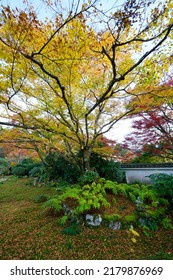 Autumn Garden Scenery Of Ohara Jikkoin