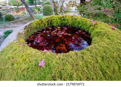 Autumn Garden Scenery Of Ohara Jikkoin