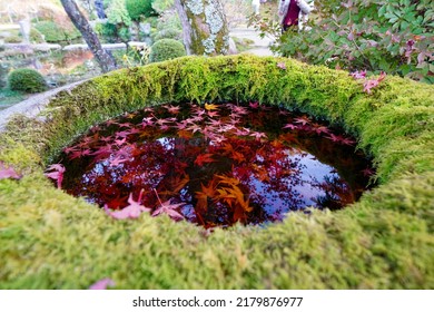 Autumn Garden Scenery Of Ohara Jikkoin