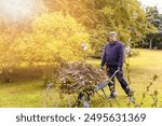 Autumn gardening, garden pruning, garden preparation for winter. Happy man pruning plants and wheeling branches in a wheelbarrow.