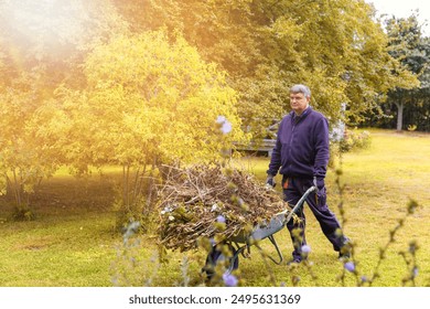 Autumn gardening, garden pruning, garden preparation for winter. Happy man pruning plants and wheeling branches in a wheelbarrow.