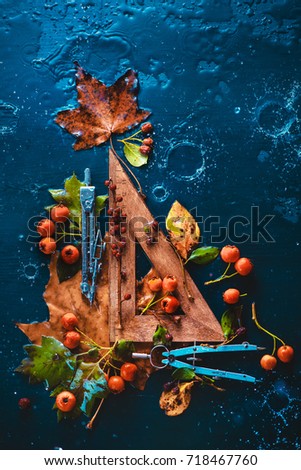 Similar – Autumn flowers and leaves on blue