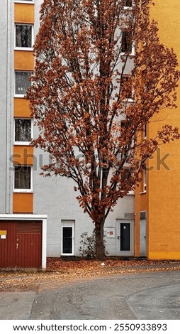 Similar – Image, Stock Photo UT I Only floating is more beautiful I Balcony