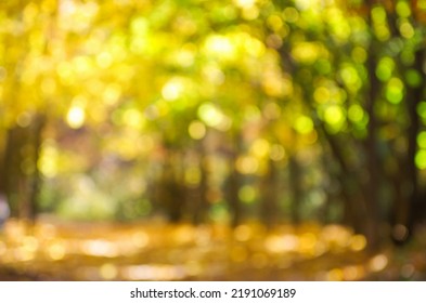 Autumn golden forest, blured background. - Shutterstock ID 2191069189