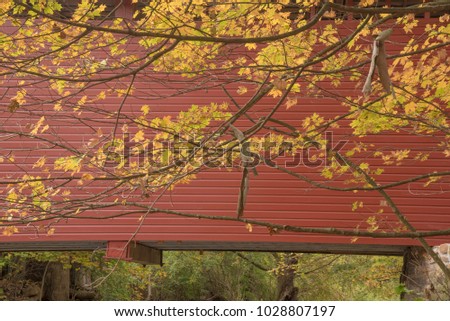 Autumn golden leaf colors against the red Roddy Road Covered Bridge near Thurmont MD.