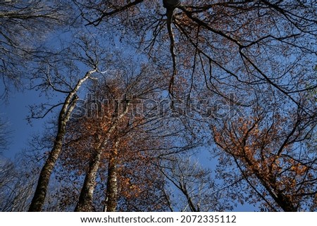 Similar – Image, Stock Photo Wind power at Roßkopf 8