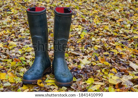 In autumn, green rubber boots stand on the bright colored leaves in the rain. Wellington boots offer optimal protection on rainy days and are one hundred percent waterproof.