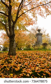 Autumn in Greenwood Cemetery, Brooklyn, New York