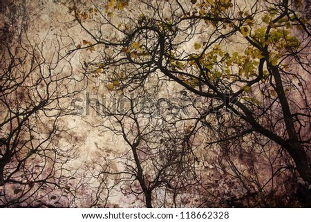 Similar – Image, Stock Photo November mood leaf twilight