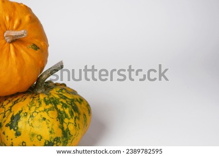 Autumn harvest background. Side view, pumpkins onwhite background with copy space.