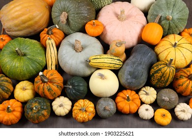 39,737 Pumpkin varieties Images, Stock Photos & Vectors | Shutterstock