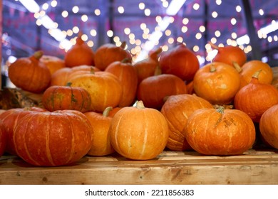 Autumn Harvest Concept. Bunch Of Appetizing Orange Pumpkins On Wood Table, Backdrop Bokeh Blurred Light Bulbs And Purple Light. Thanksgiving Day, Helloween, Counter For Sale, Horizontal, Front View