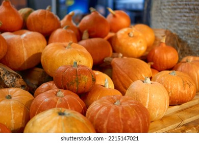 Autumn Harvest Concept. Bunch Of Appetizing Orange Pumpkins On Wood Table As A Symbol Of Thanksgiving Day And Helloween, Counter For Sale,rural Still Life,agriculture, Farming. Horizontal,side View