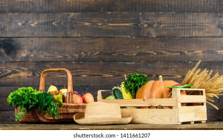 Autumn harvest crops vegetables. Locally grown natural food. Farmers market. Vibrant and colorful vegetables. Homegrown vegetables. Fresh organic vegetables wicker basket. Fall harvest concept. - Powered by Shutterstock