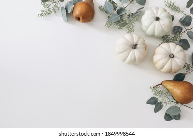 Autumn Harvest Frame, Web Banner. Pear Fruit And White Pumpkins  Isolated On White Table Background. Fall, Thanksgiving Pattern. Flat Lay, Top View. Garden Crop.