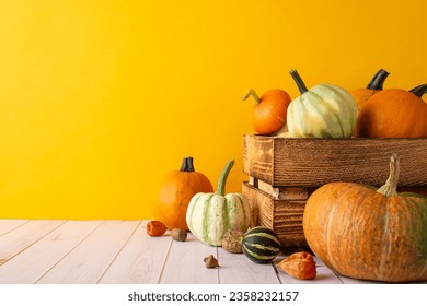 Autumn harvest theme with a side view image of a bountiful crop, featuring wooden crate box with pumpkins, pattypans, gourd, acorns and walnut on rustic wooden table against a warm, orange background