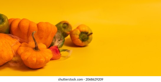 Autumn Harvest Of Vegetables On An Orange Background. Vegetarian Food Spread Out On A Solid Background. Copy Space.