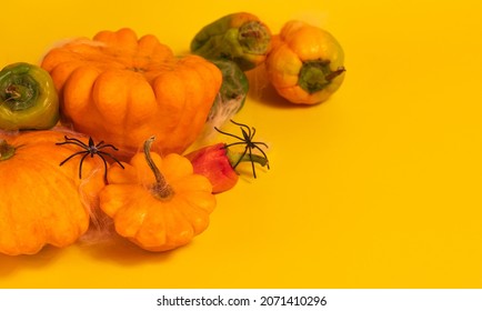 Autumn Harvest Of Vegetables On An Orange Background. Vegetarian Food Spread Out On A Solid Background.