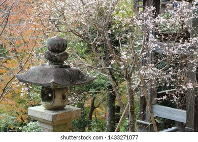 Autumn Of Hasedera Temple,Yamato Province,Japan.