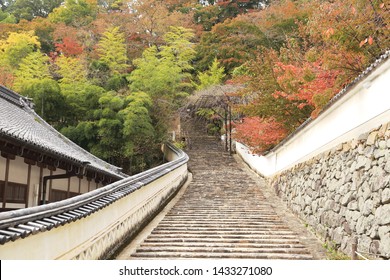 Autumn Of Hasedera Temple,Yamato Province,Japan.