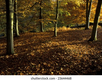 Autumn Hawnby North York Moors, UK