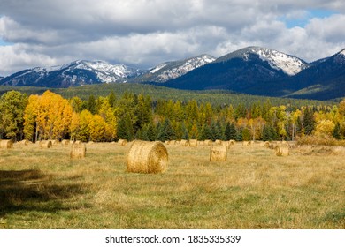 Autumn hay bales in field with distant snow capped mountains in background, Montana - Powered by Shutterstock