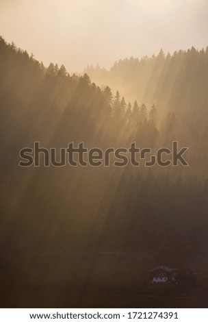 Similar – Image, Stock Photo sunrays Environment Nature