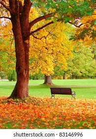 Autumn In Helsinki Public Garden