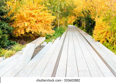 Autumn At The High Line Park In New York City