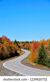 Autumn, Highland Scenic Highway, National Scenic Byway, Pocahontas County, West Virginia, USA