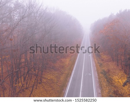 autumn highway road mist foggy weather