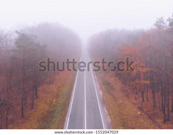autumn highway road mist\
foggy weather