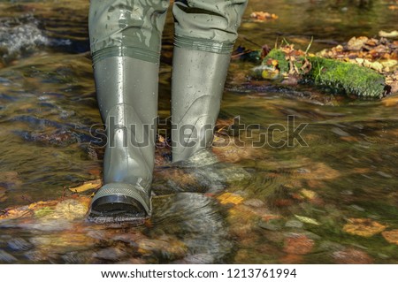 In autumn a hiker goes through a creek with his waders. In the brook lie colorful autumn leaves.  Rubber boots are the right shoes for every terrain.