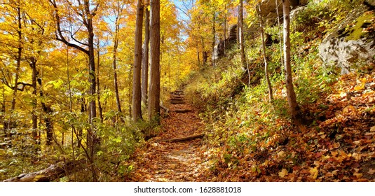 Autumn Hiking Along The Bruce Trail 