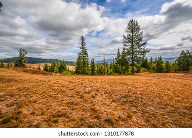 Autumn In The Hillside Of The Inland Northwest As Fields Turn To Orange Near Coeur D'Alene, Idaho