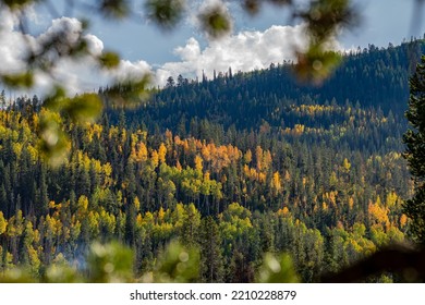 Autumn Hillside Vibrant In The Mountains