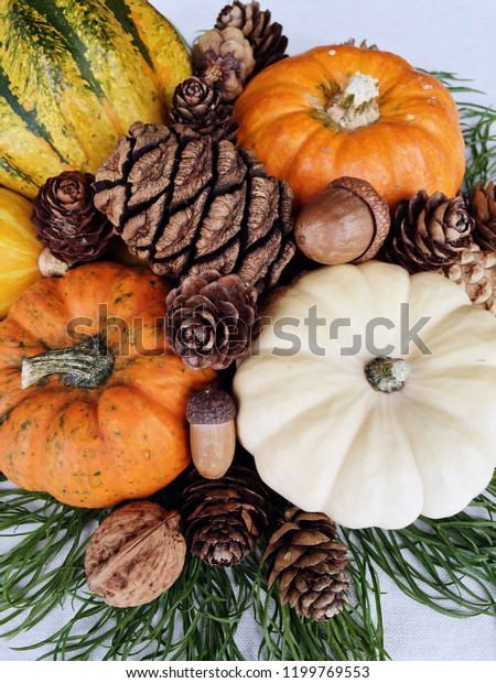 Autumn Holiday Decoration Mini Pumpkins Different Royalty Free