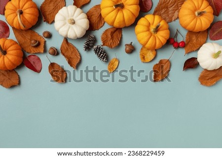 Autumn holiday frame from decorative pumpkins, dried foliage, red berry, pinecones and acorns top view. Thanksgiving day, harvest, autumn and fall background top view.
