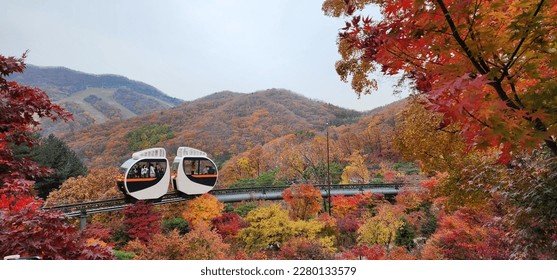 Autumn in Hwadam Botanic Garden, South Korea