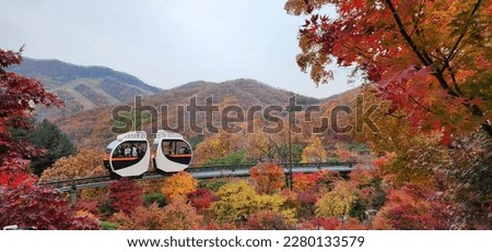 Autumn in Hwadam Botanic Garden, South Korea