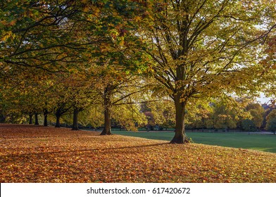 The Autumn In The Hyde Park