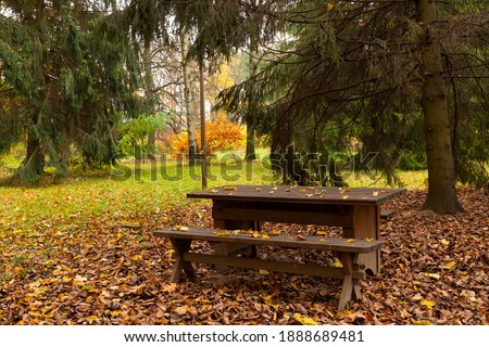 An autumn idyll, a lonely park bench awaits visitors.