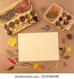 Autumn inspired flat lay featuring blank beige paper in middle, vibrant leaves, pine cones, acorns, chestnuts, seeds, small branches, cardboard container, all against warm brown backdrop - Powered by Shutterstock